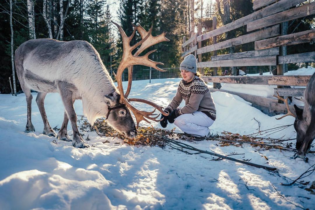 Valkeisen Loma Villa Ähtäri Kültér fotó