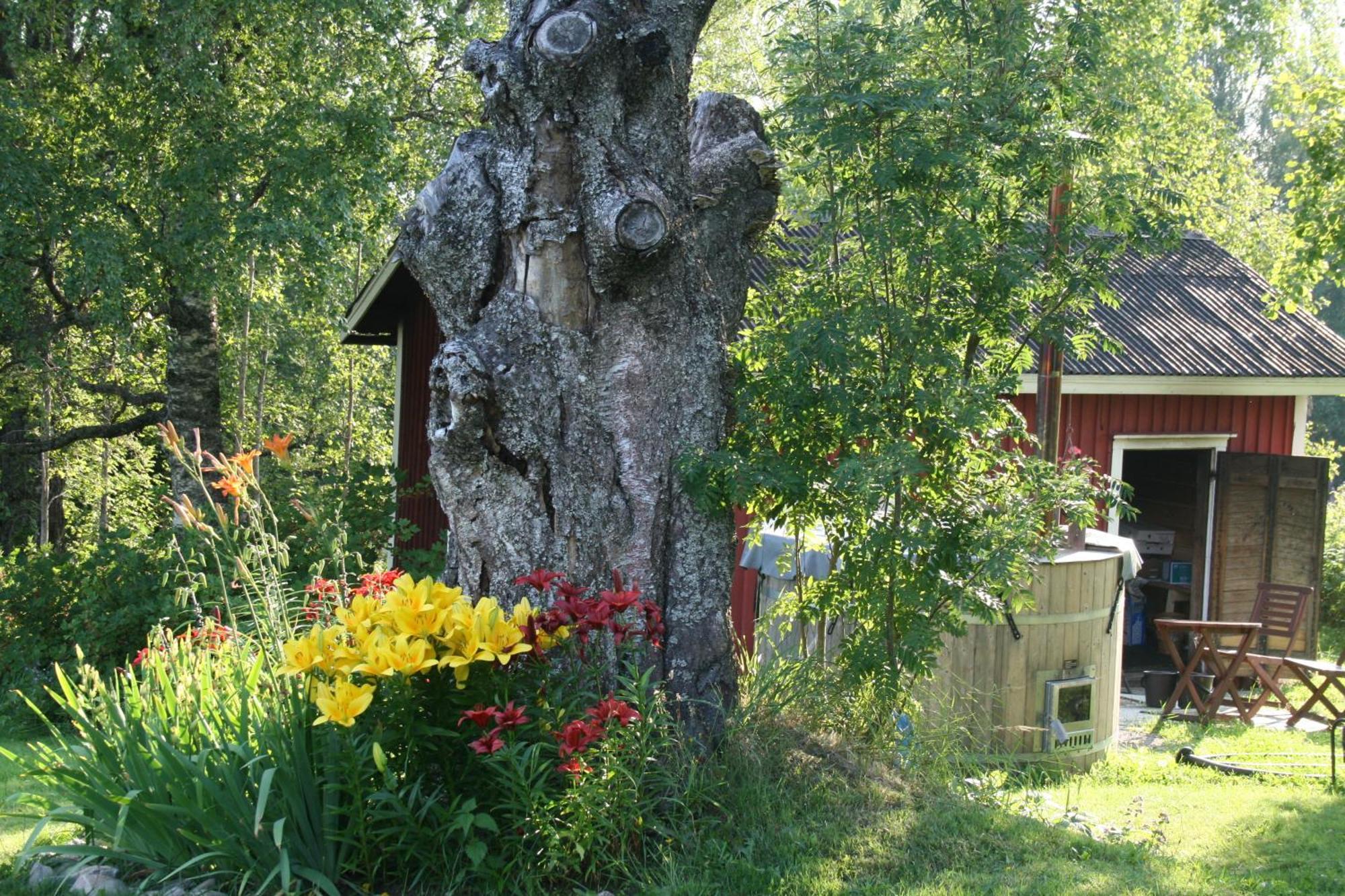 Valkeisen Loma Villa Ähtäri Kültér fotó