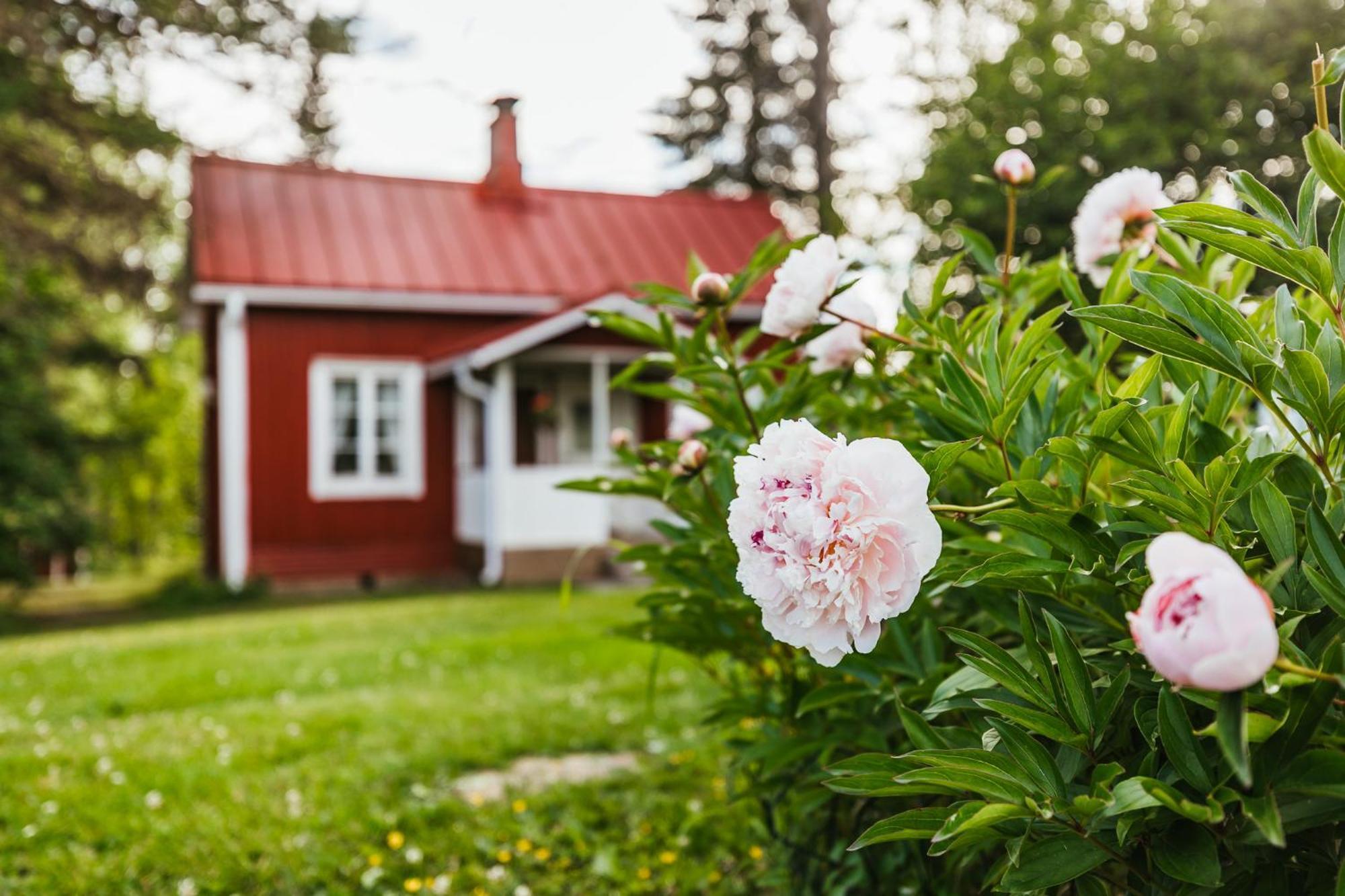 Valkeisen Loma Villa Ähtäri Kültér fotó